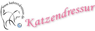 Katzendressur